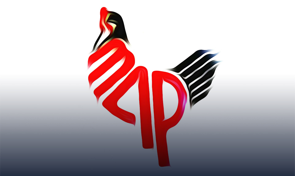 "مصر العربية" تستعد لإقامة مشروع كبير لتربية أمهات الدواجن برعاية السادات للدواجن