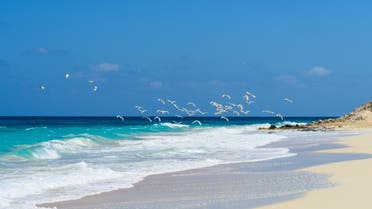 انحسار مياه البحر وموجات تسونامي بشواطئ مصر.. خبير يوضح علاقة زلزال كريت